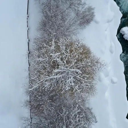 Appartement House 55 *